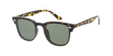 MEN'S CLASSIC SPORTS FASHION SUNGLASSES....PRICES ARE PER DOZEN