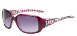 WOMEN'S FASHION SUNGLASSES......PRICES ARE PER DOZEN.